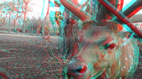 Enjoy and feel free to contact me with comments or questions. . Anaglyph 3d movies online